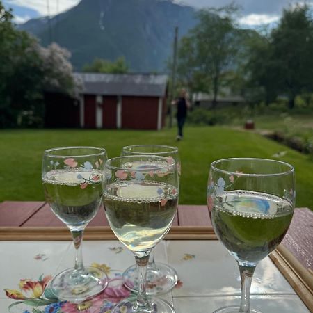 Aobrio Holidayhouse, Authentic Norwegian Farmhouse Close To Flam Lærdalsøyri Extérieur photo