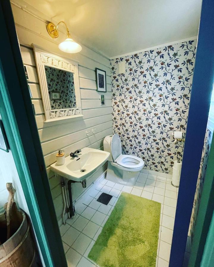 Aobrio Holidayhouse, Authentic Norwegian Farmhouse Close To Flam Lærdalsøyri Extérieur photo