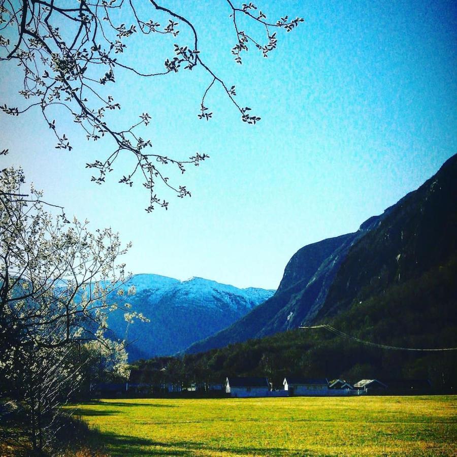 Aobrio Holidayhouse, Authentic Norwegian Farmhouse Close To Flam Lærdalsøyri Extérieur photo