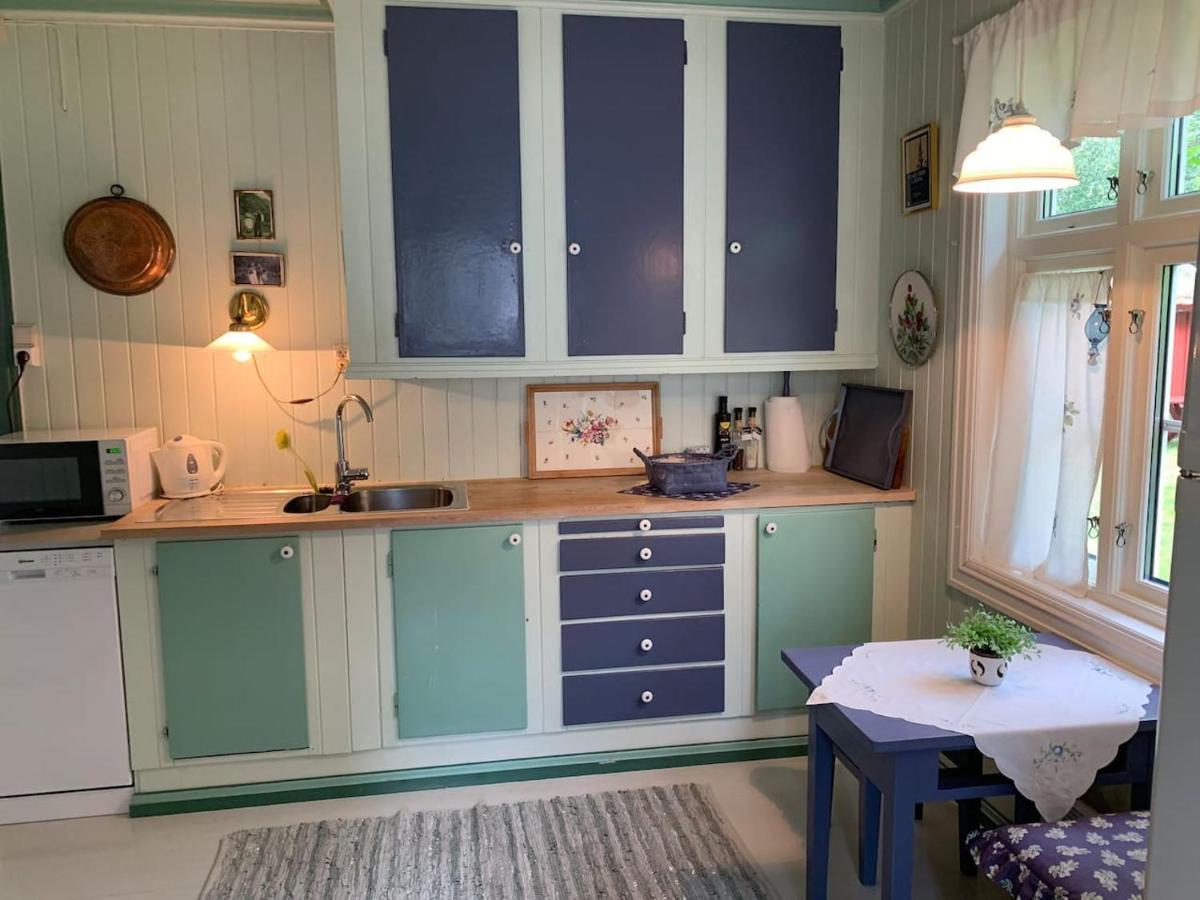 Aobrio Holidayhouse, Authentic Norwegian Farmhouse Close To Flam Lærdalsøyri Extérieur photo